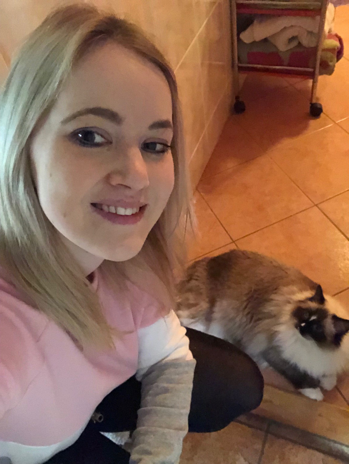 Ragdoll